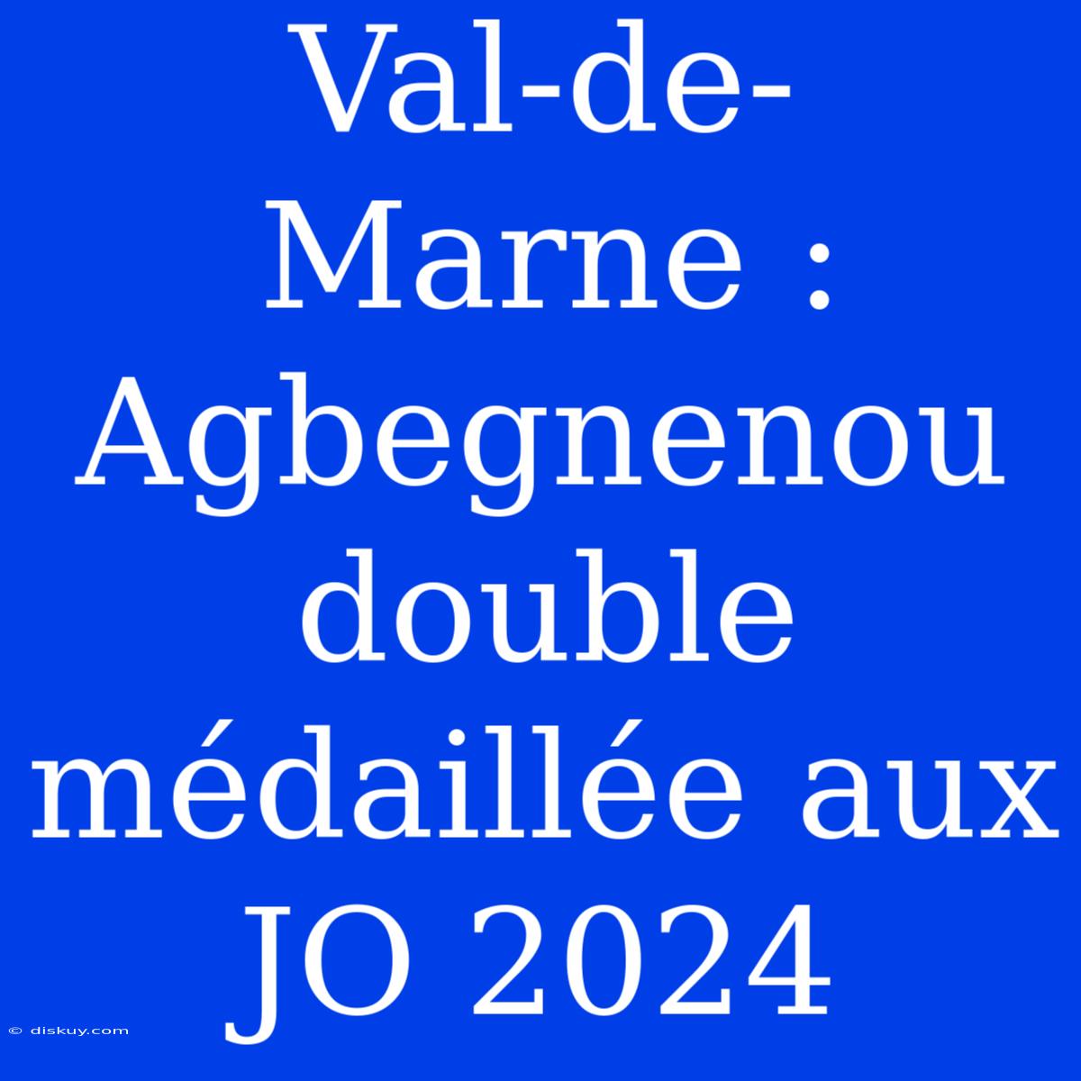 Val-de-Marne : Agbegnenou Double Médaillée Aux JO 2024