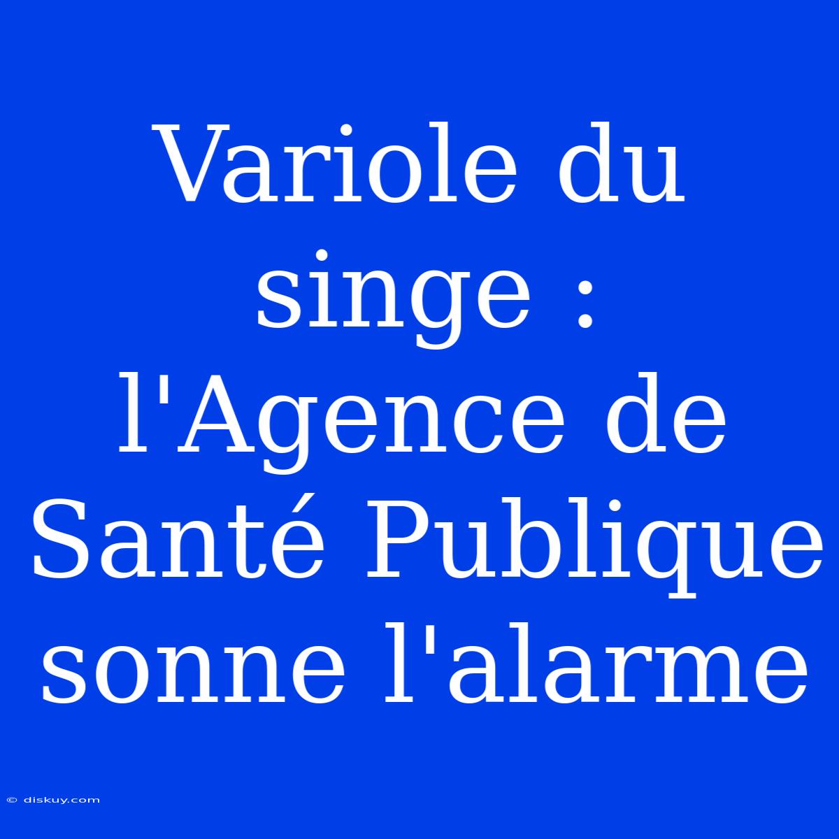 Variole Du Singe : L'Agence De Santé Publique Sonne L'alarme