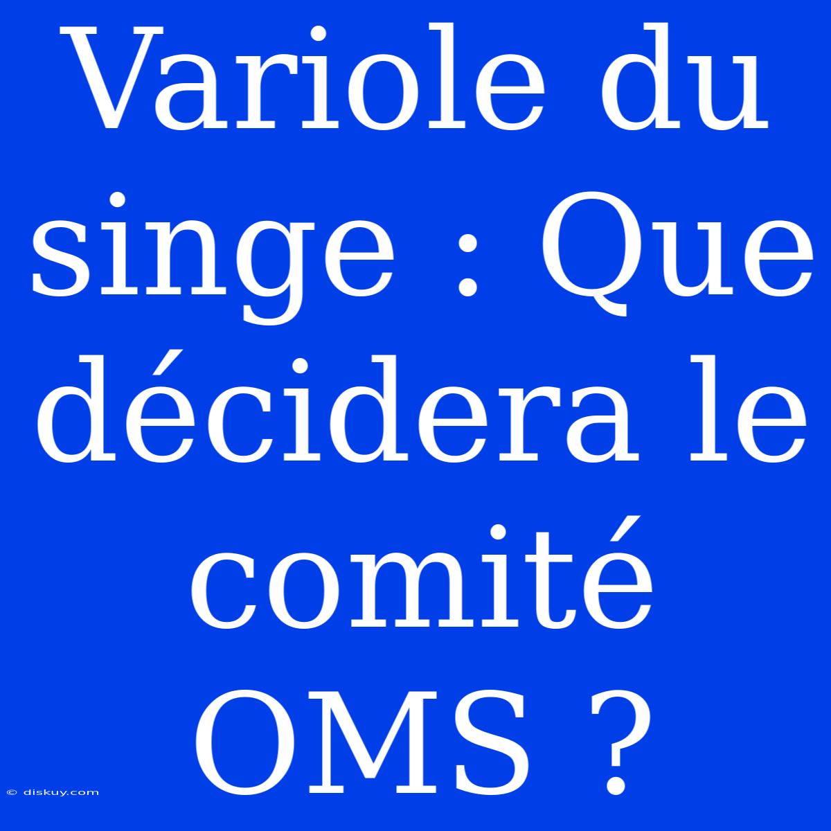 Variole Du Singe : Que Décidera Le Comité OMS ?