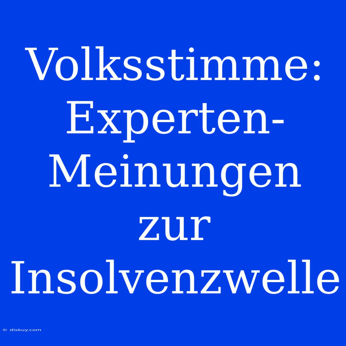 Volksstimme: Experten-Meinungen Zur Insolvenzwelle