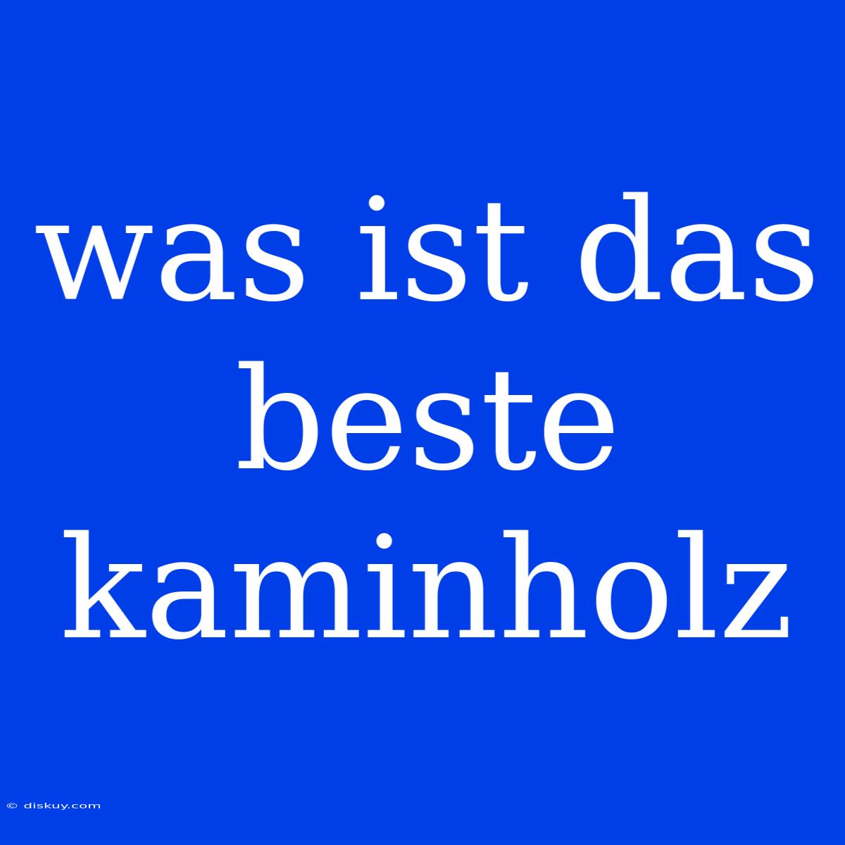 Was Ist Das Beste Kaminholz