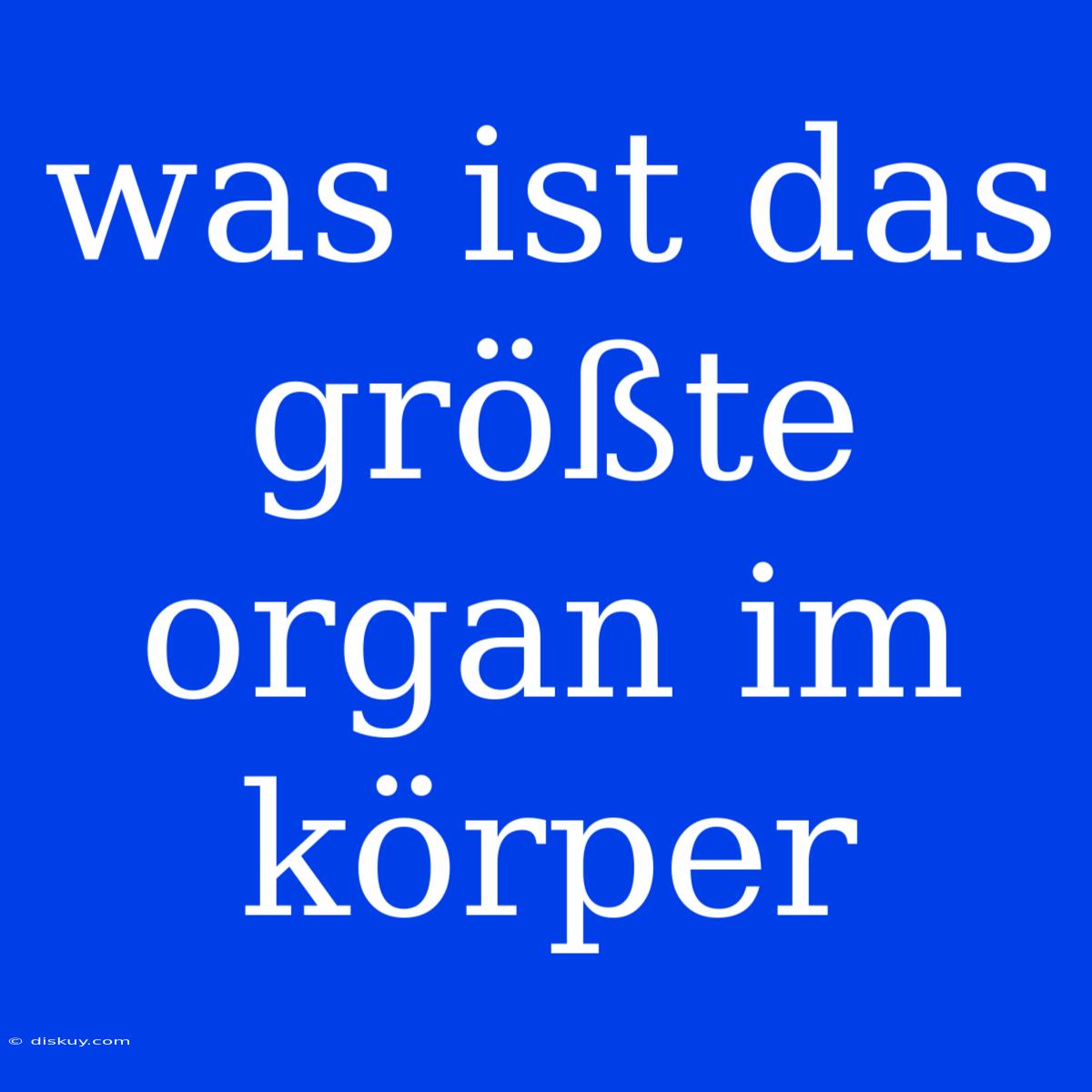 Was Ist Das Größte Organ Im Körper