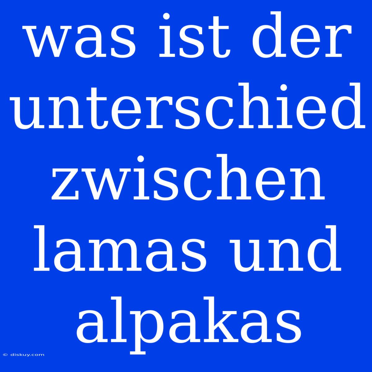 Was Ist Der Unterschied Zwischen Lamas Und Alpakas