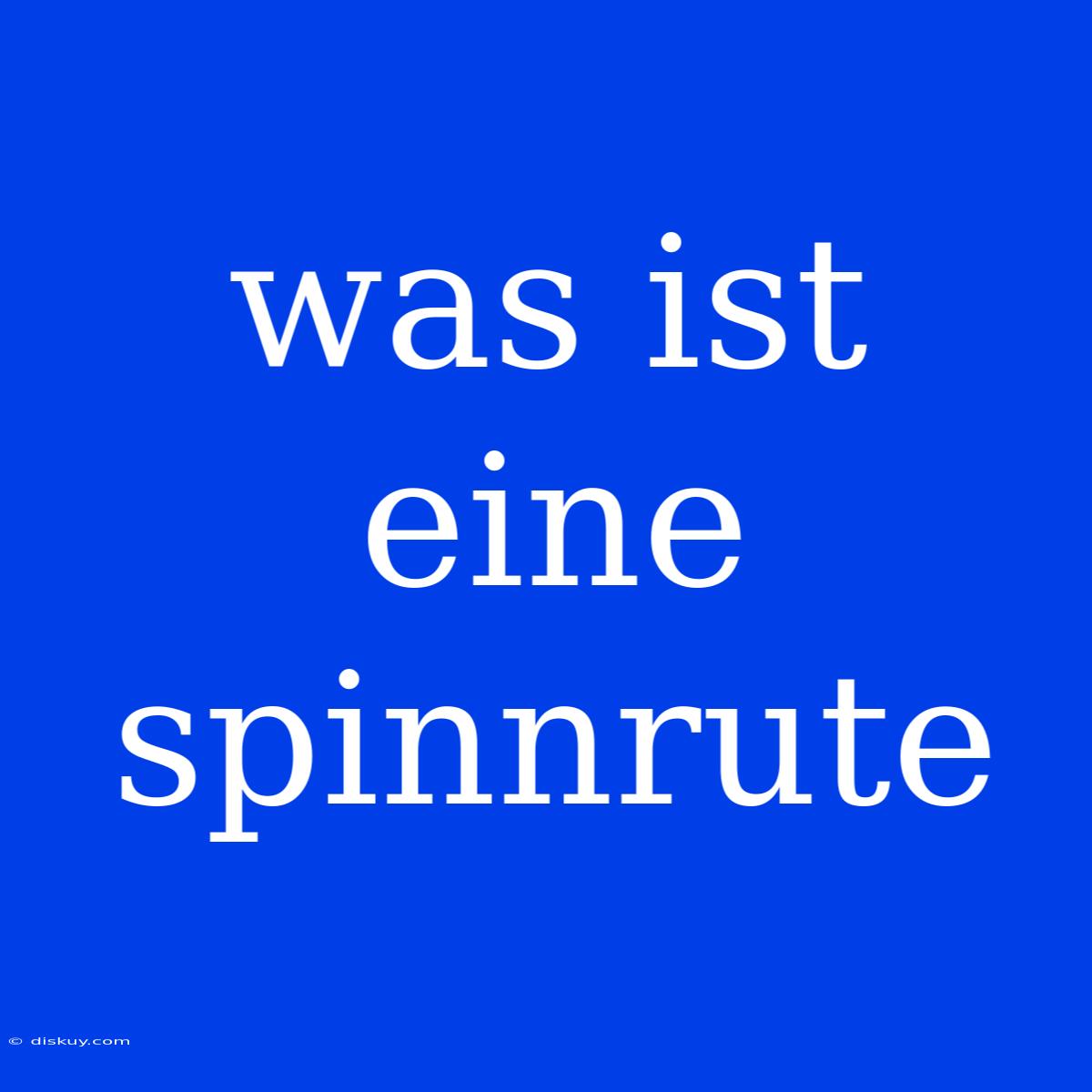 Was Ist Eine Spinnrute