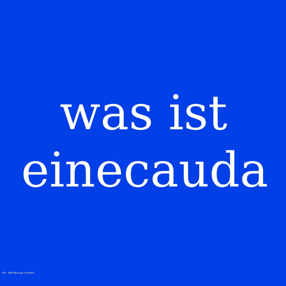 Was Ist Einecauda