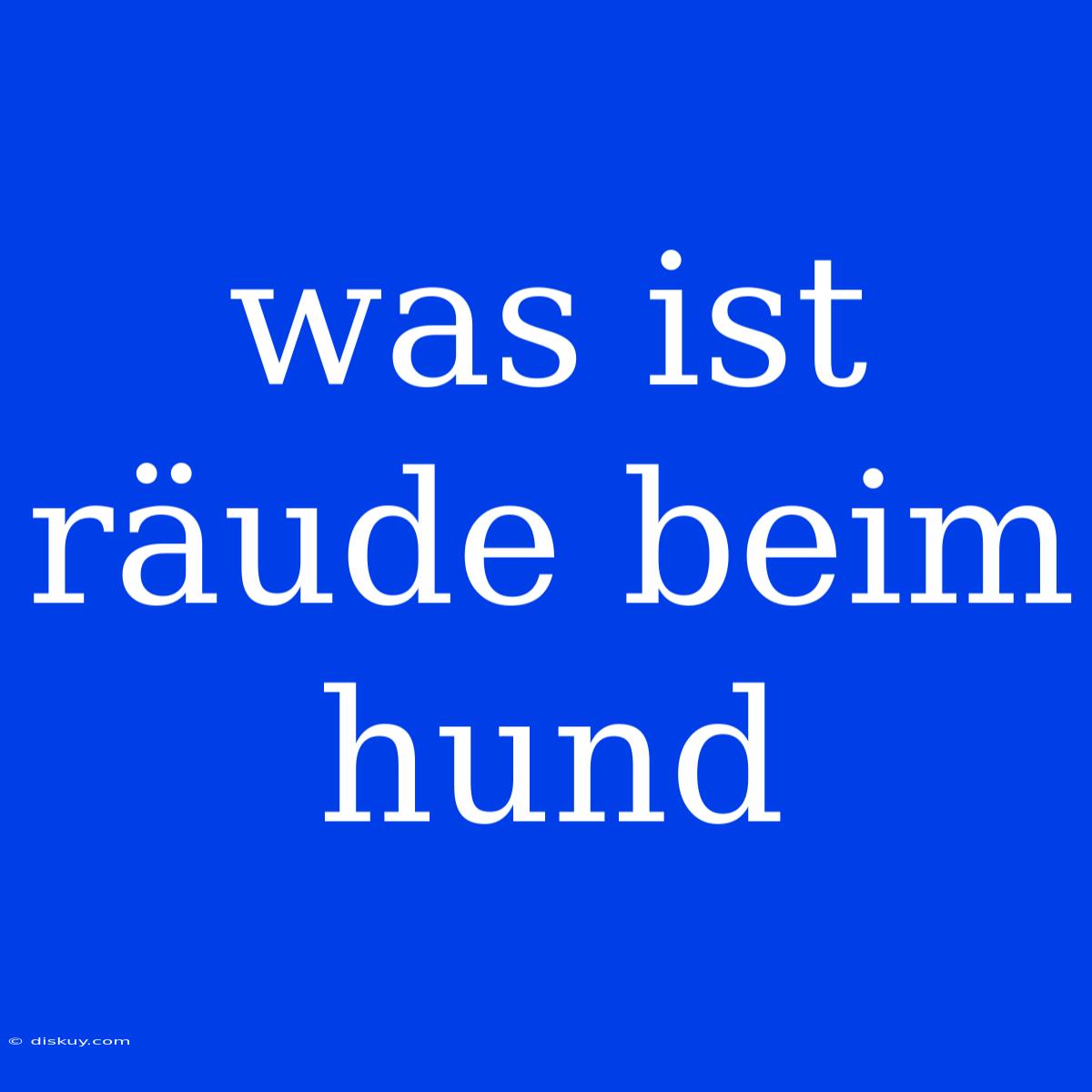 Was Ist Räude Beim Hund