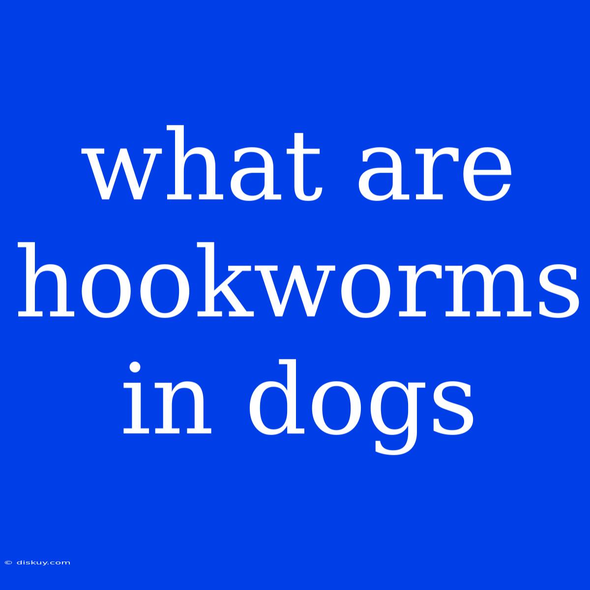 What Are Hookworms In Dogs