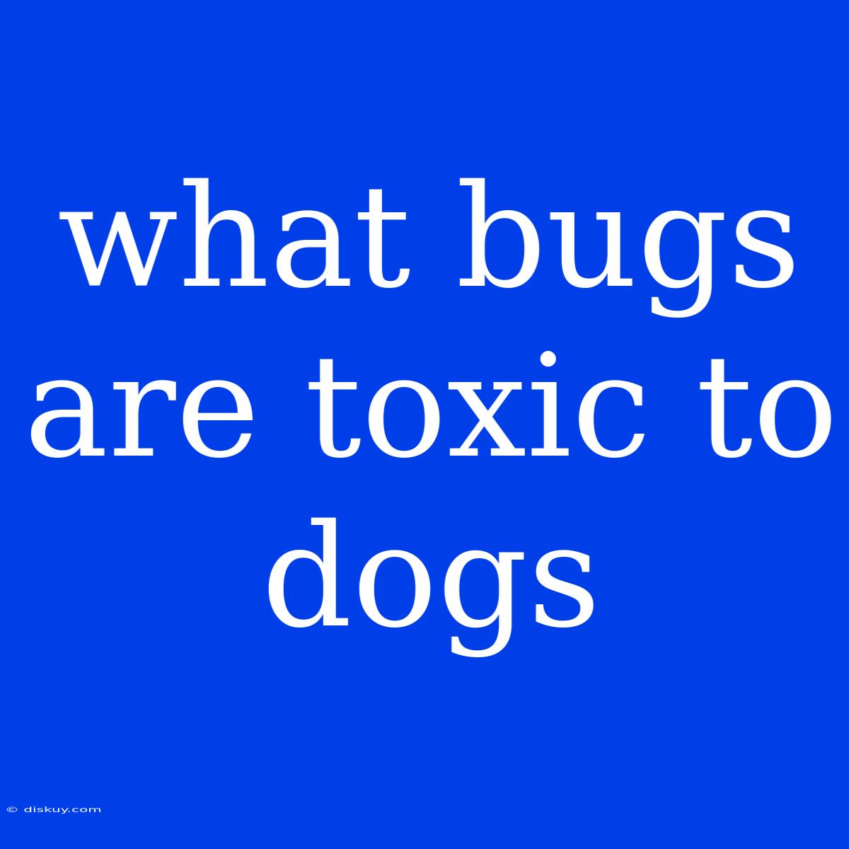 What Bugs Are Toxic To Dogs