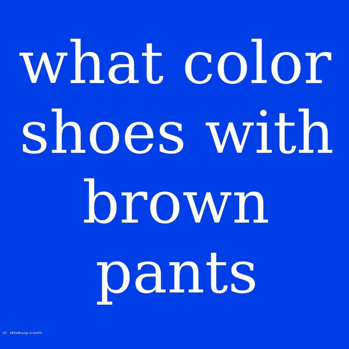 What Color Shoes With Brown Pants