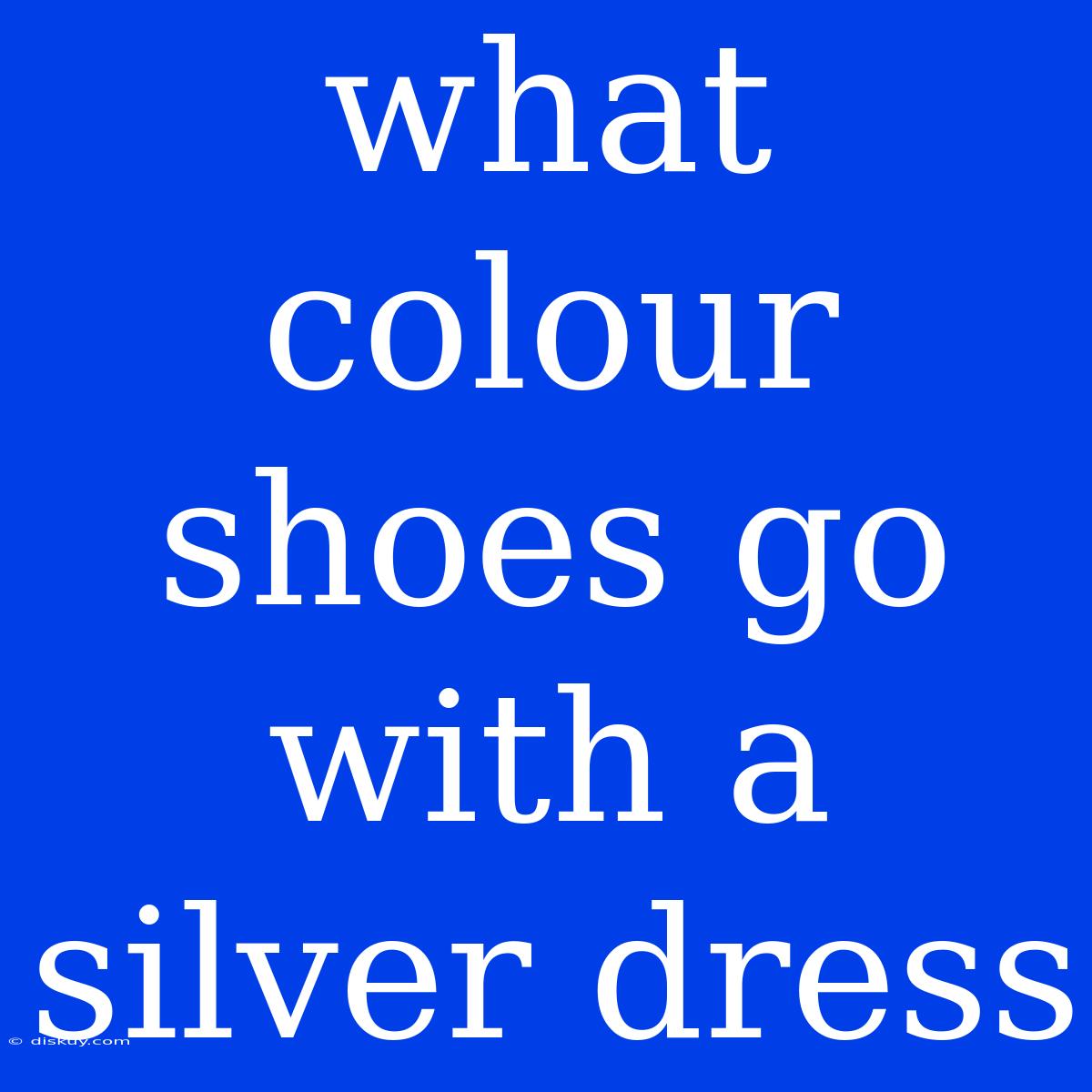 What Colour Shoes Go With A Silver Dress