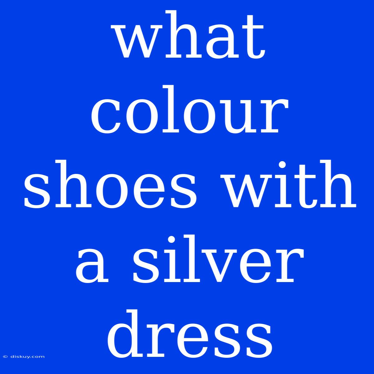 What Colour Shoes With A Silver Dress