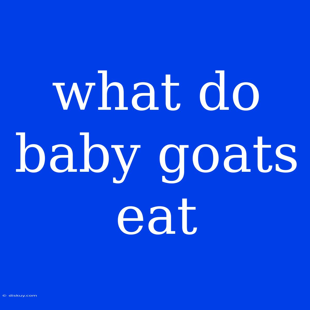 What Do Baby Goats Eat