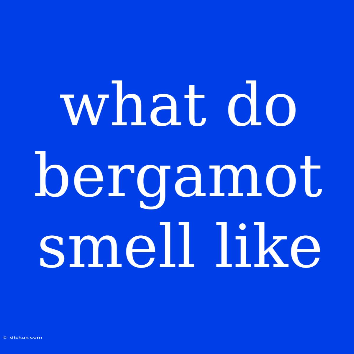 What Do Bergamot Smell Like