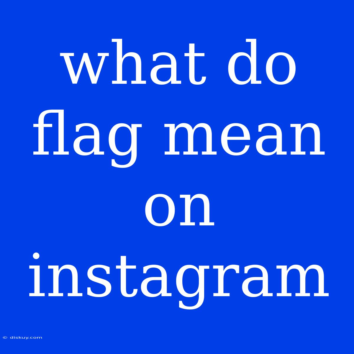 What Do Flag Mean On Instagram