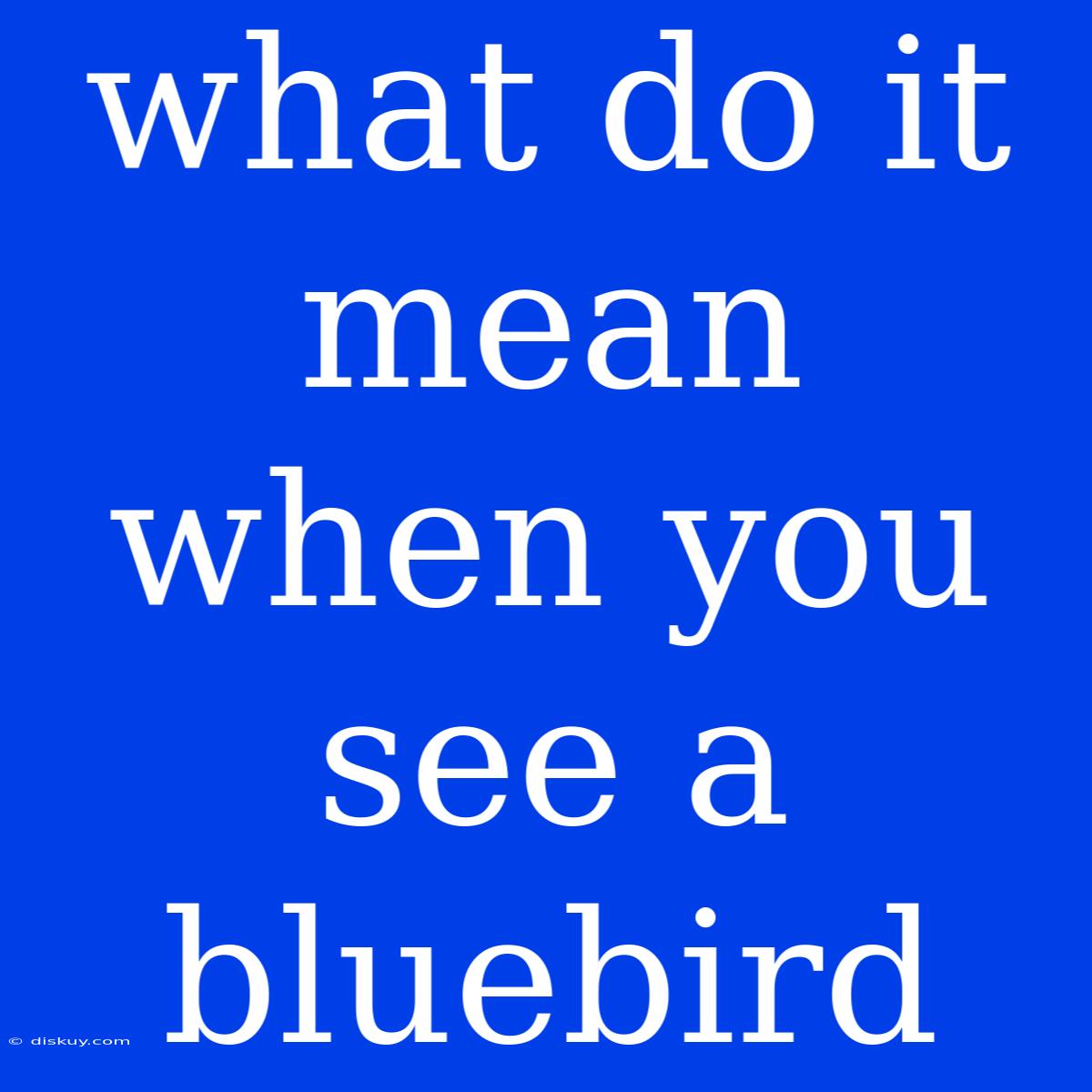 What Do It Mean When You See A Bluebird