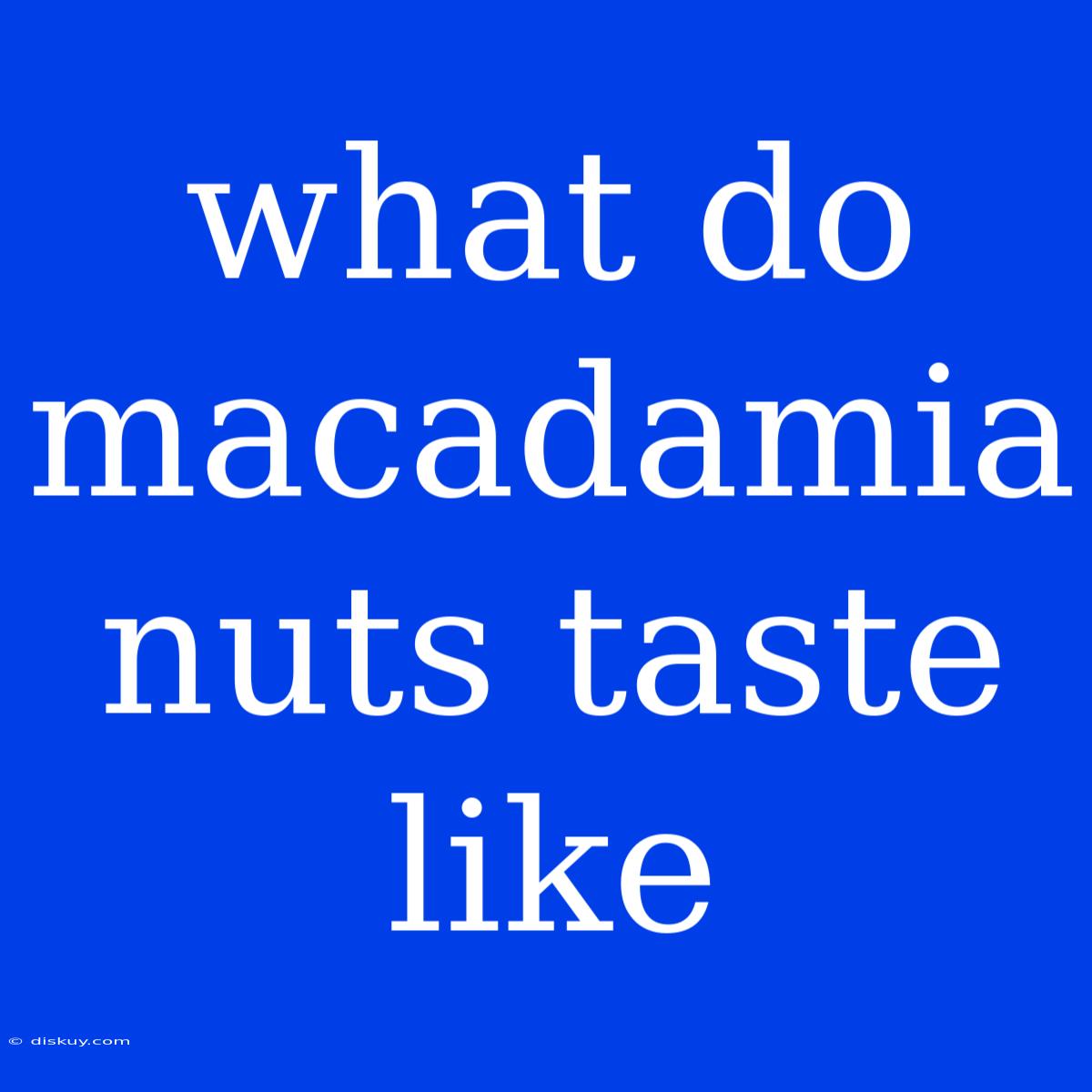 What Do Macadamia Nuts Taste Like