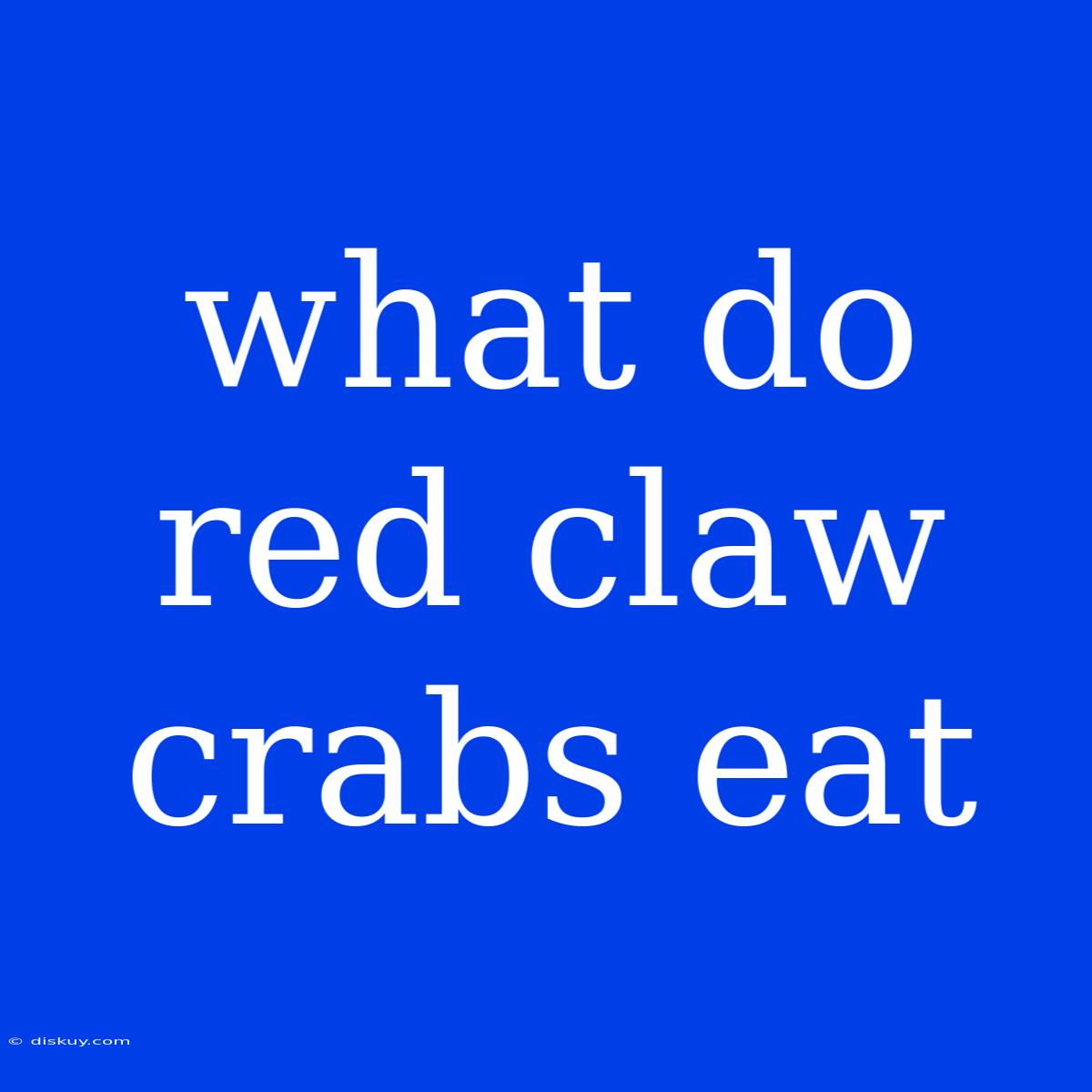 What Do Red Claw Crabs Eat