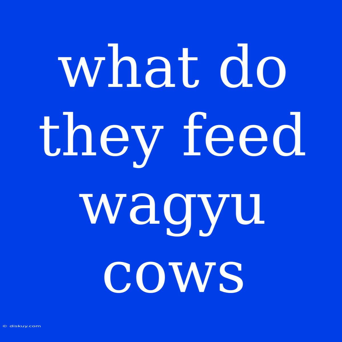 What Do They Feed Wagyu Cows