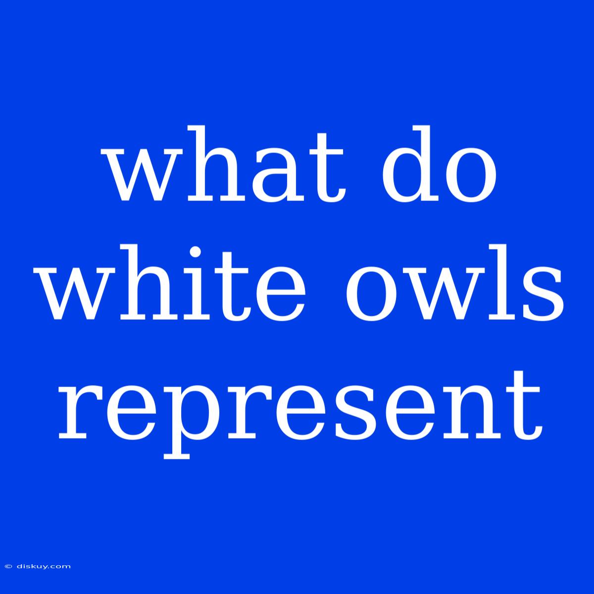 What Do White Owls Represent