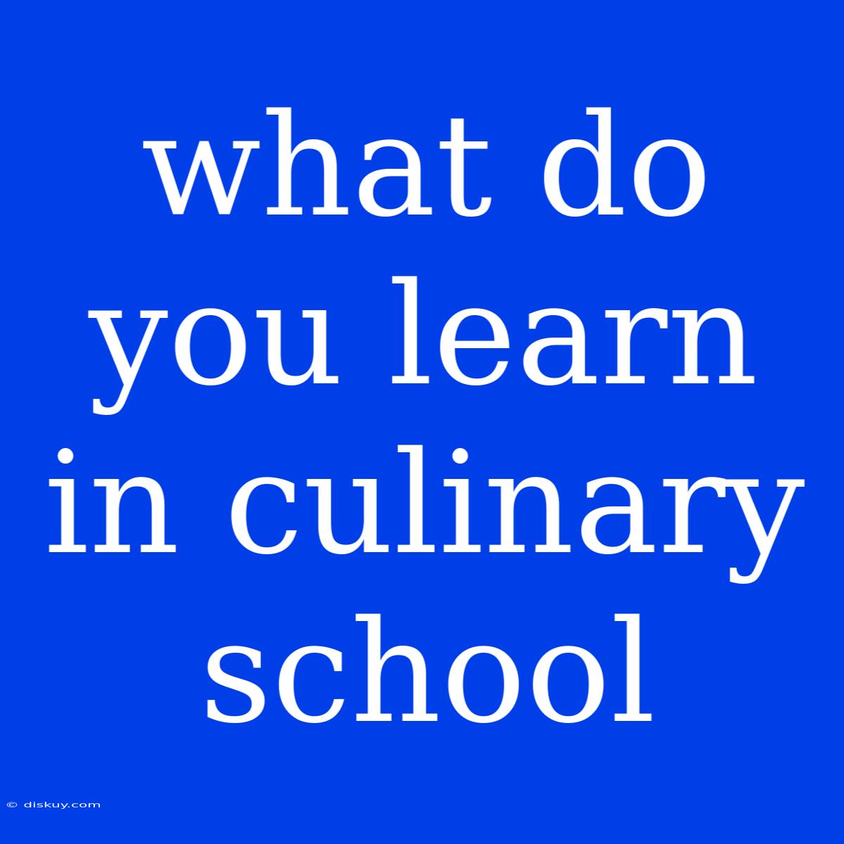 What Do You Learn In Culinary School