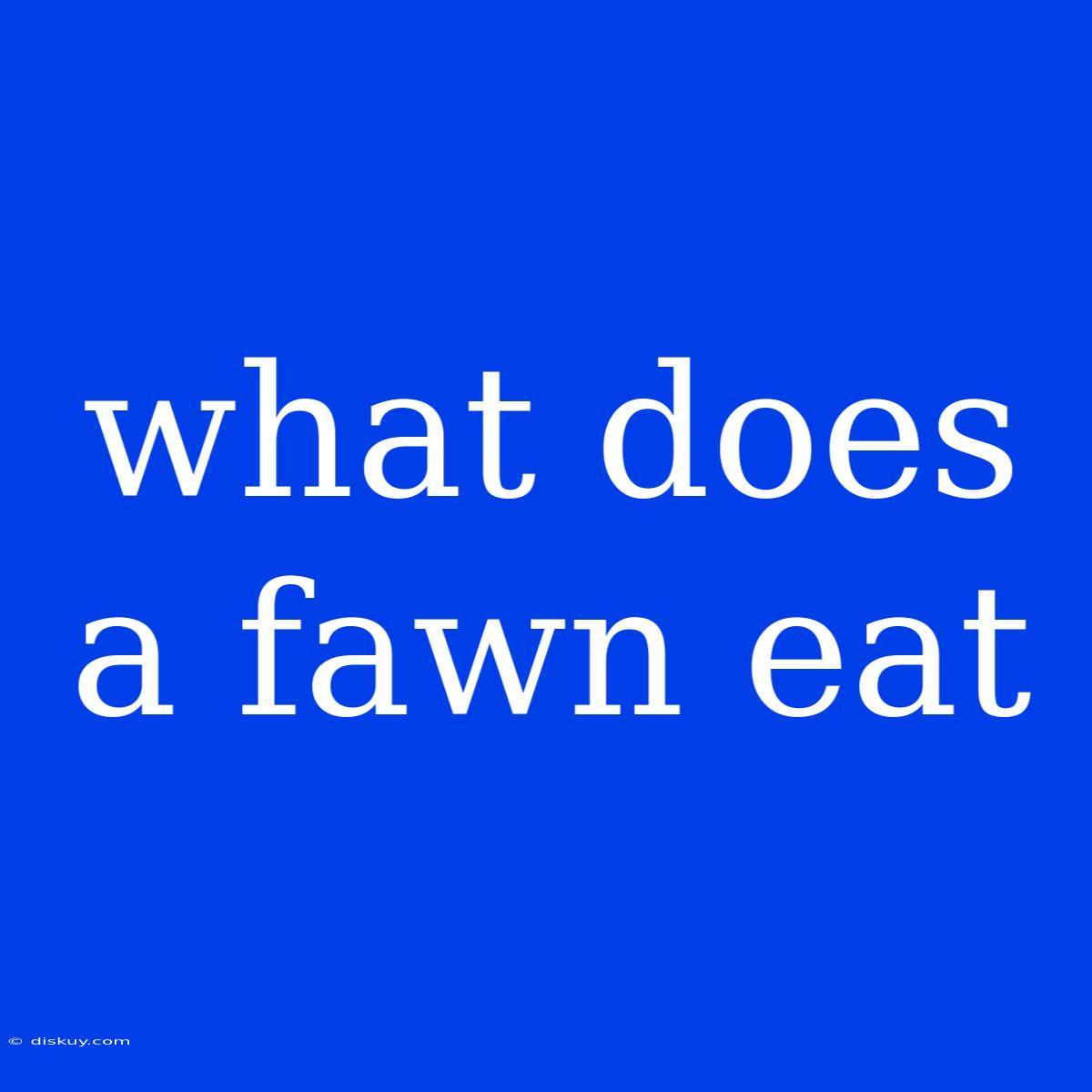 What Does A Fawn Eat