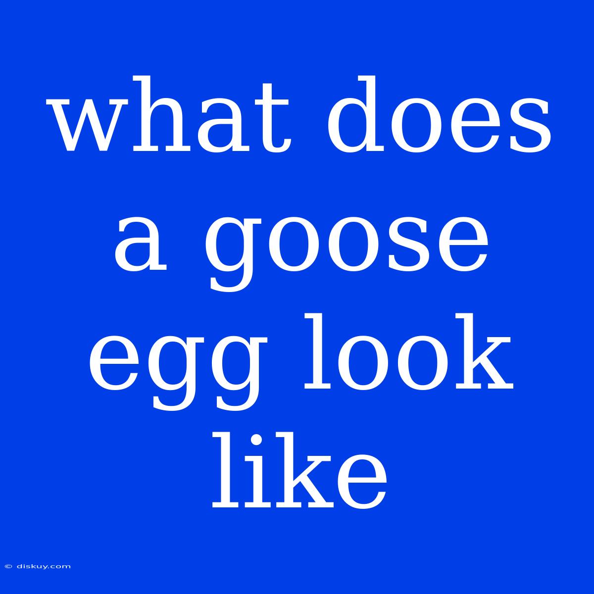 What Does A Goose Egg Look Like