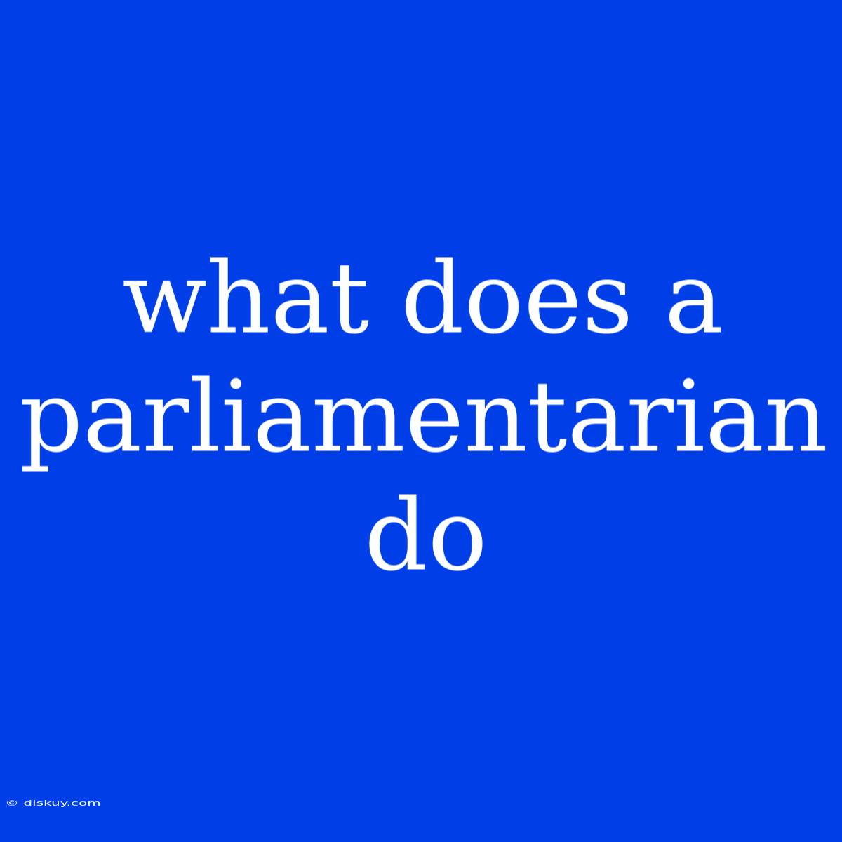 What Does A Parliamentarian Do