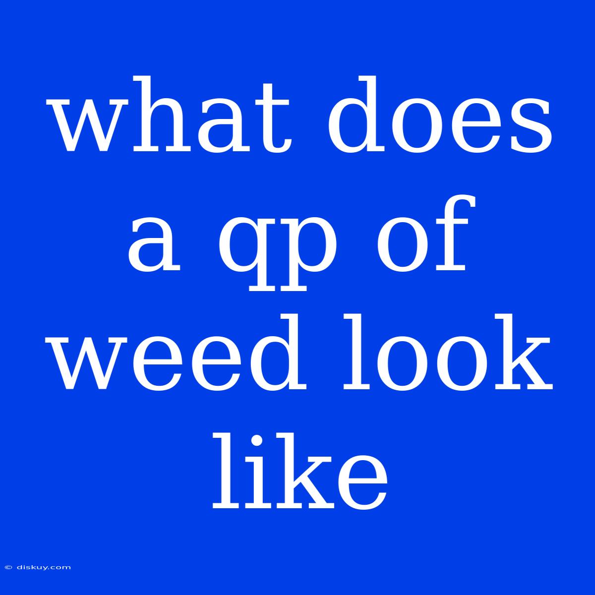 What Does A Qp Of Weed Look Like