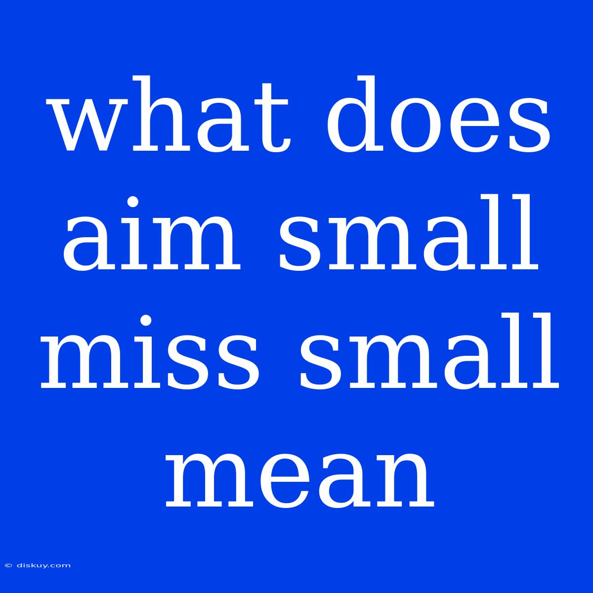 What Does Aim Small Miss Small Mean