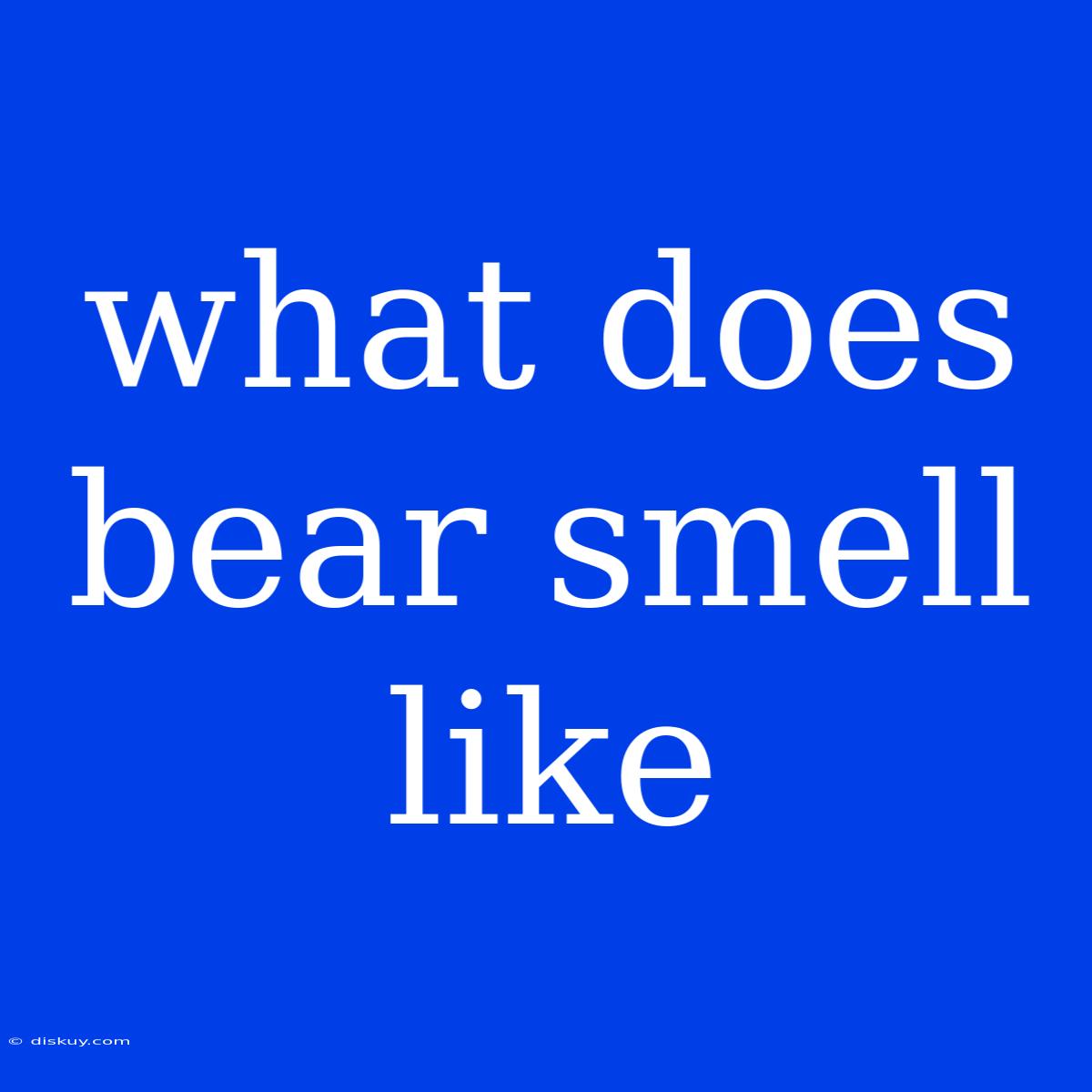 What Does Bear Smell Like