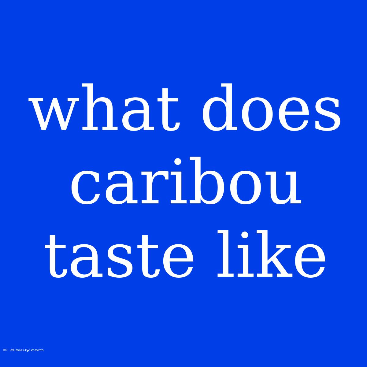 What Does Caribou Taste Like