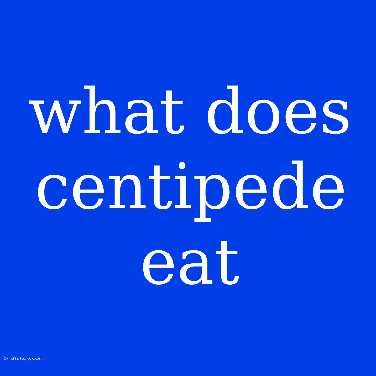 What Does Centipede Eat