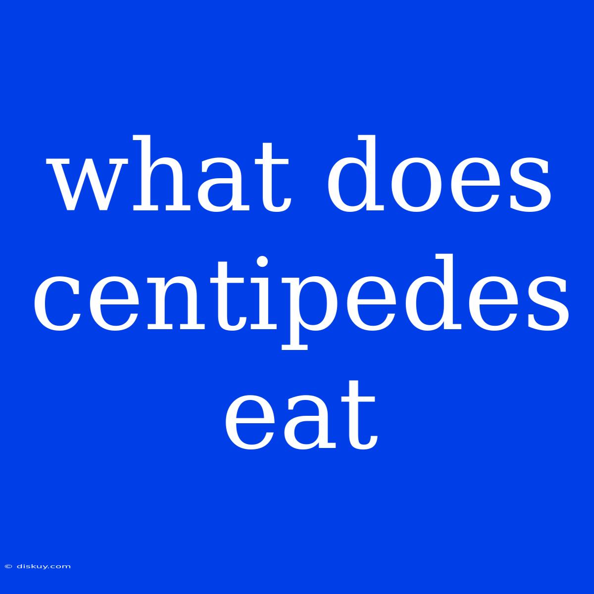 What Does Centipedes Eat