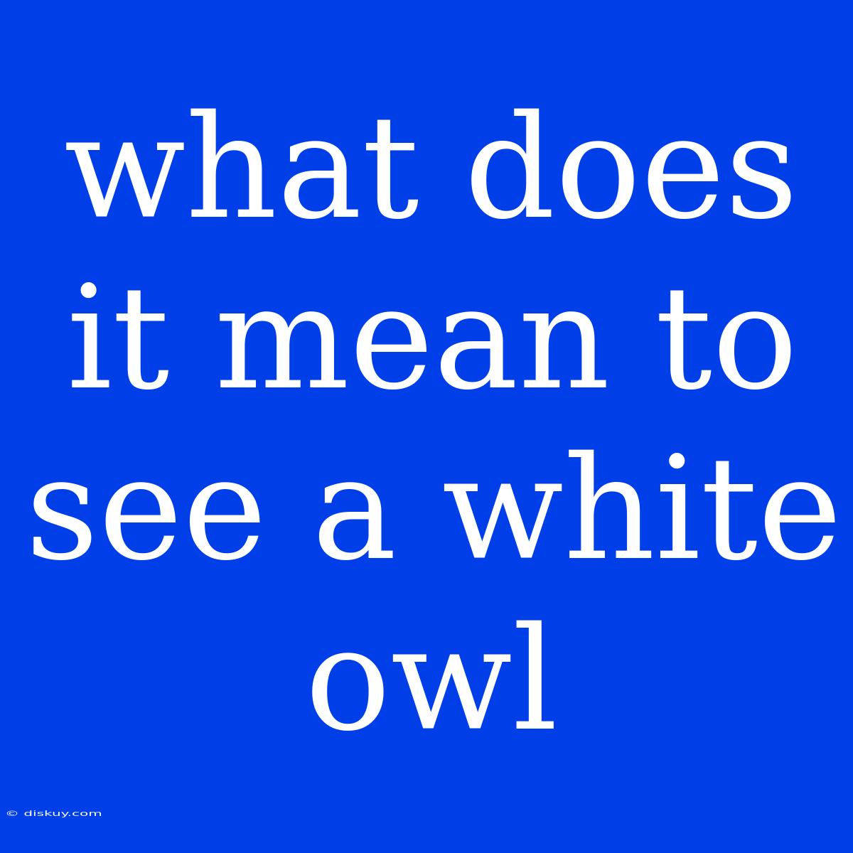 What Does It Mean To See A White Owl