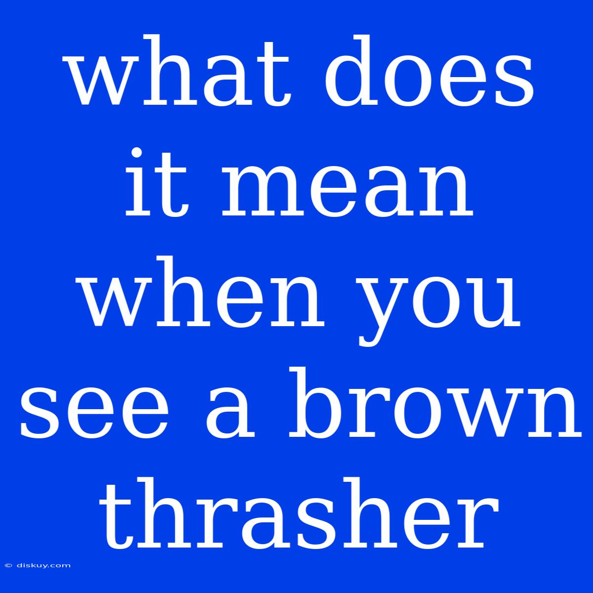 What Does It Mean When You See A Brown Thrasher