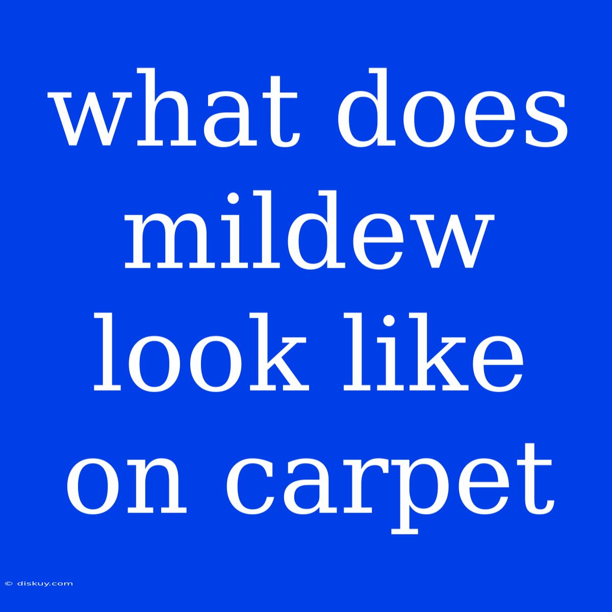 What Does Mildew Look Like On Carpet