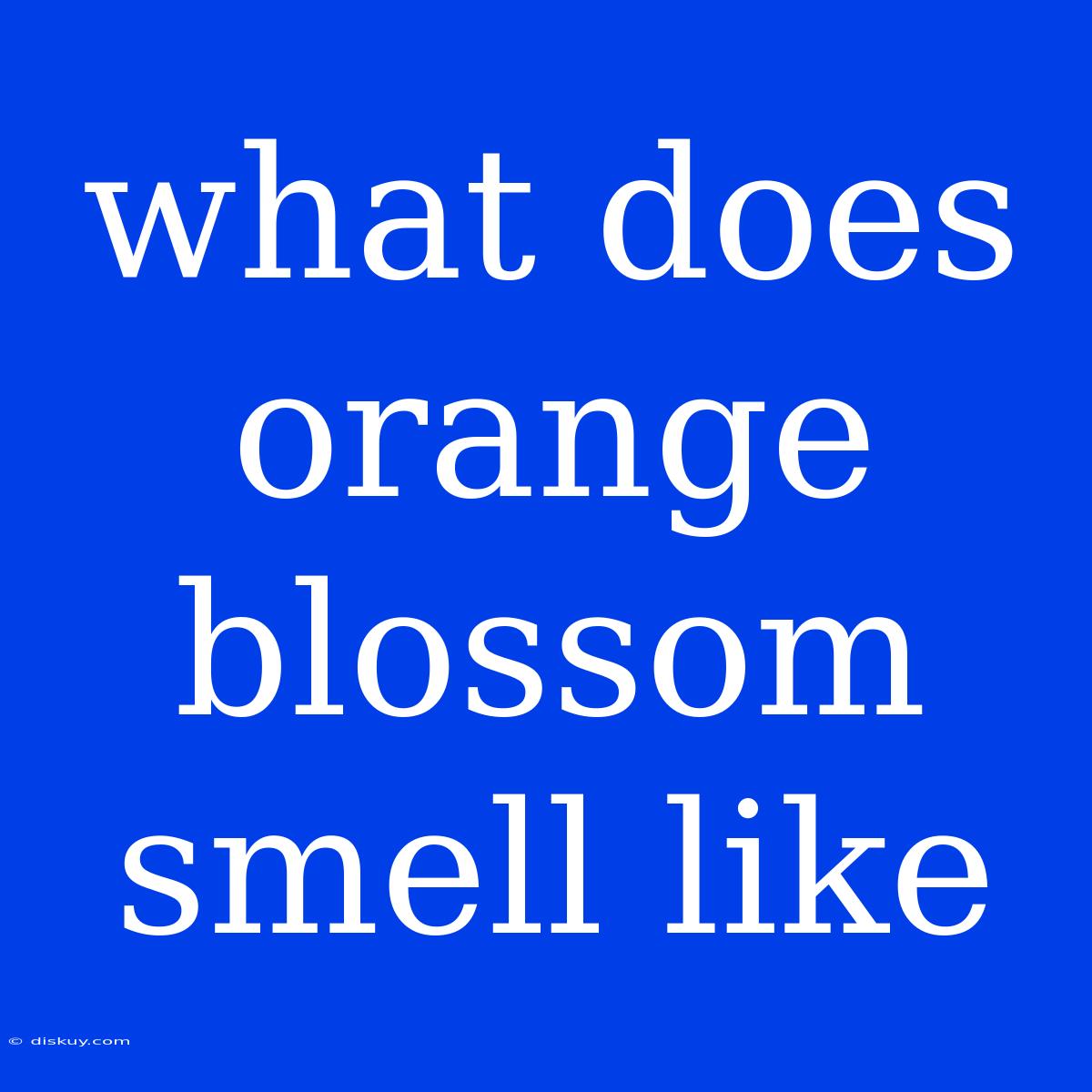 What Does Orange Blossom Smell Like