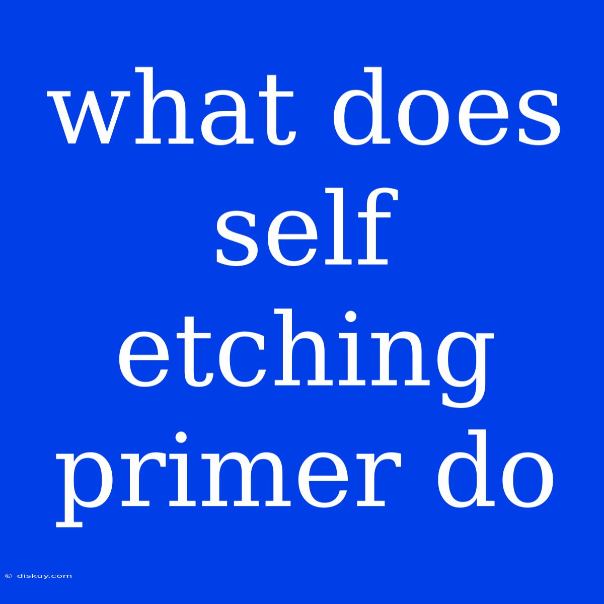 What Does Self Etching Primer Do