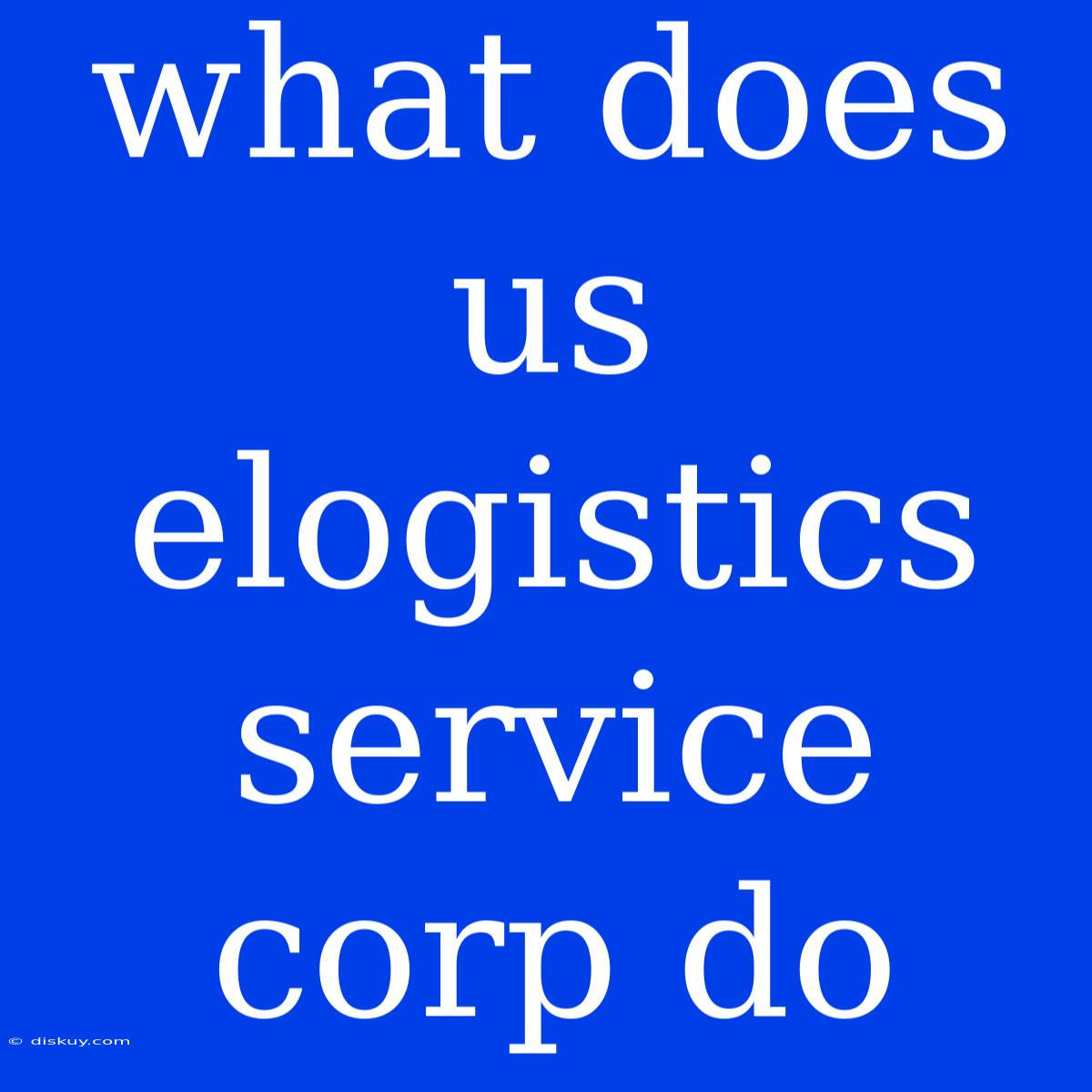 What Does Us Elogistics Service Corp Do