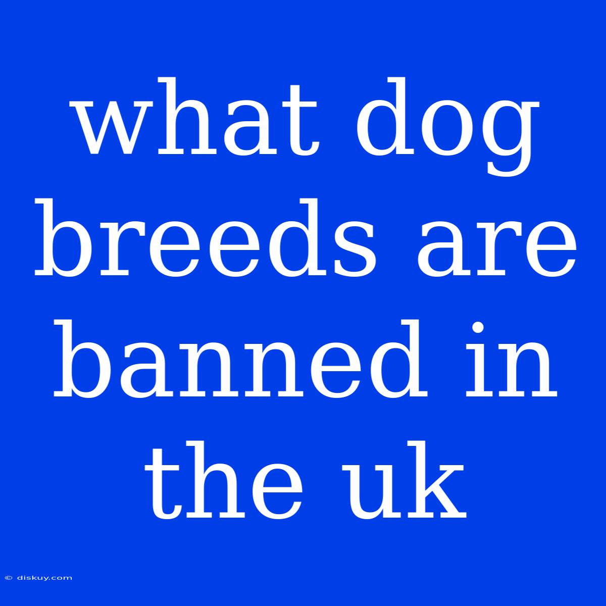 What Dog Breeds Are Banned In The Uk