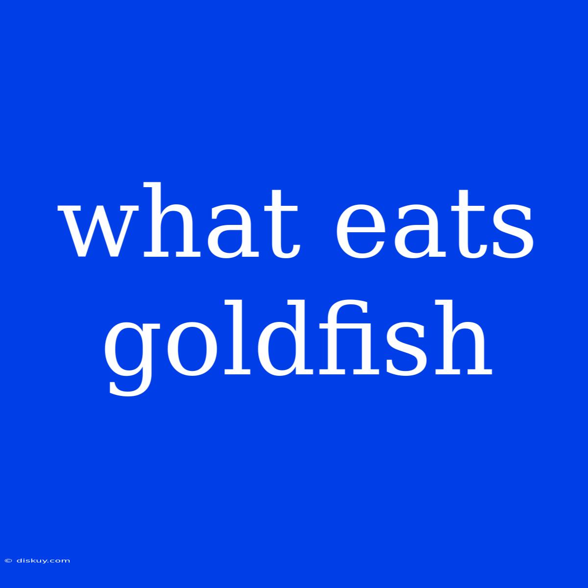 What Eats Goldfish