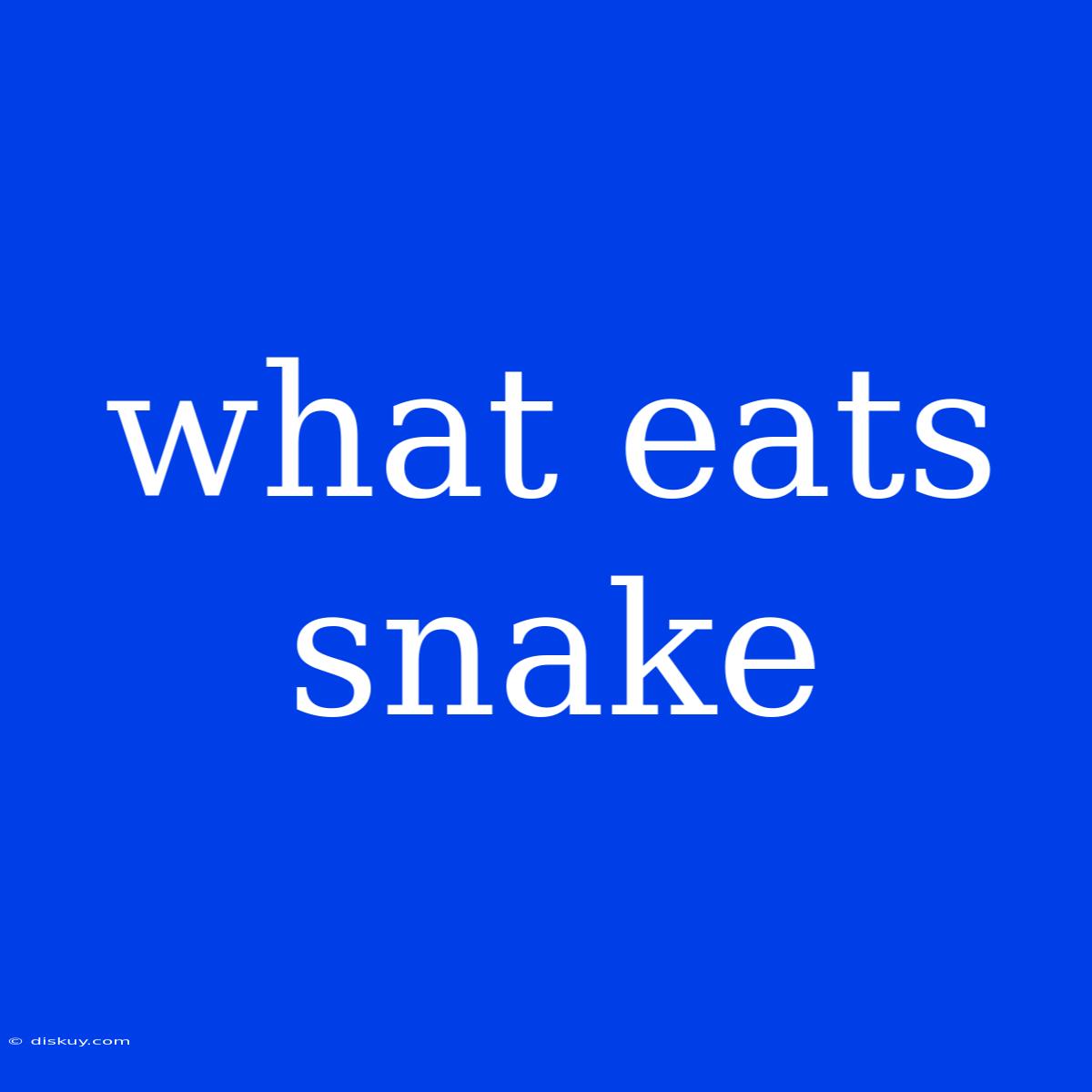 What Eats Snake