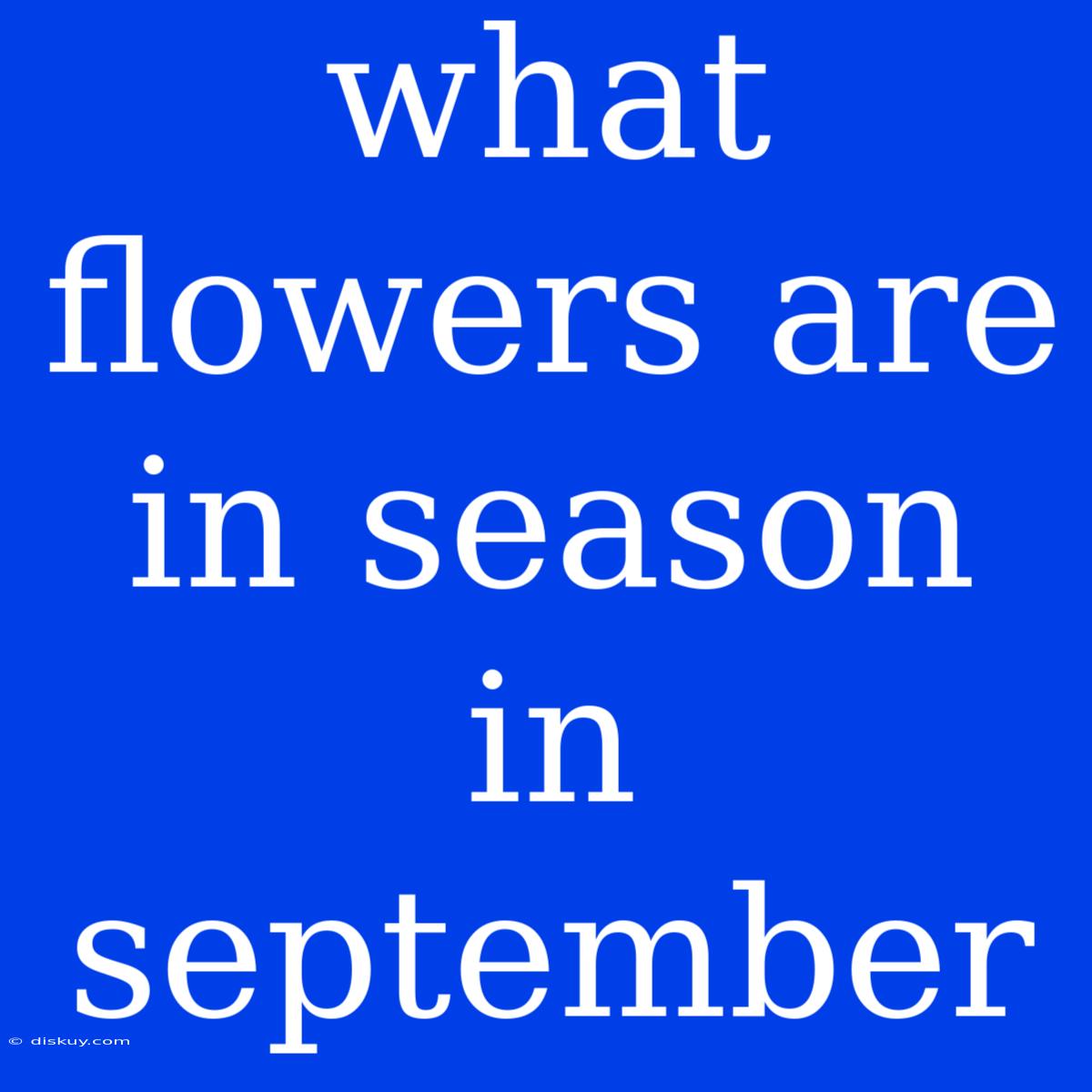 What Flowers Are In Season In September