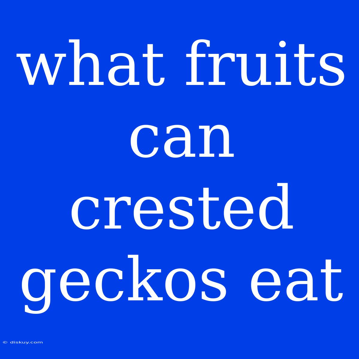 What Fruits Can Crested Geckos Eat