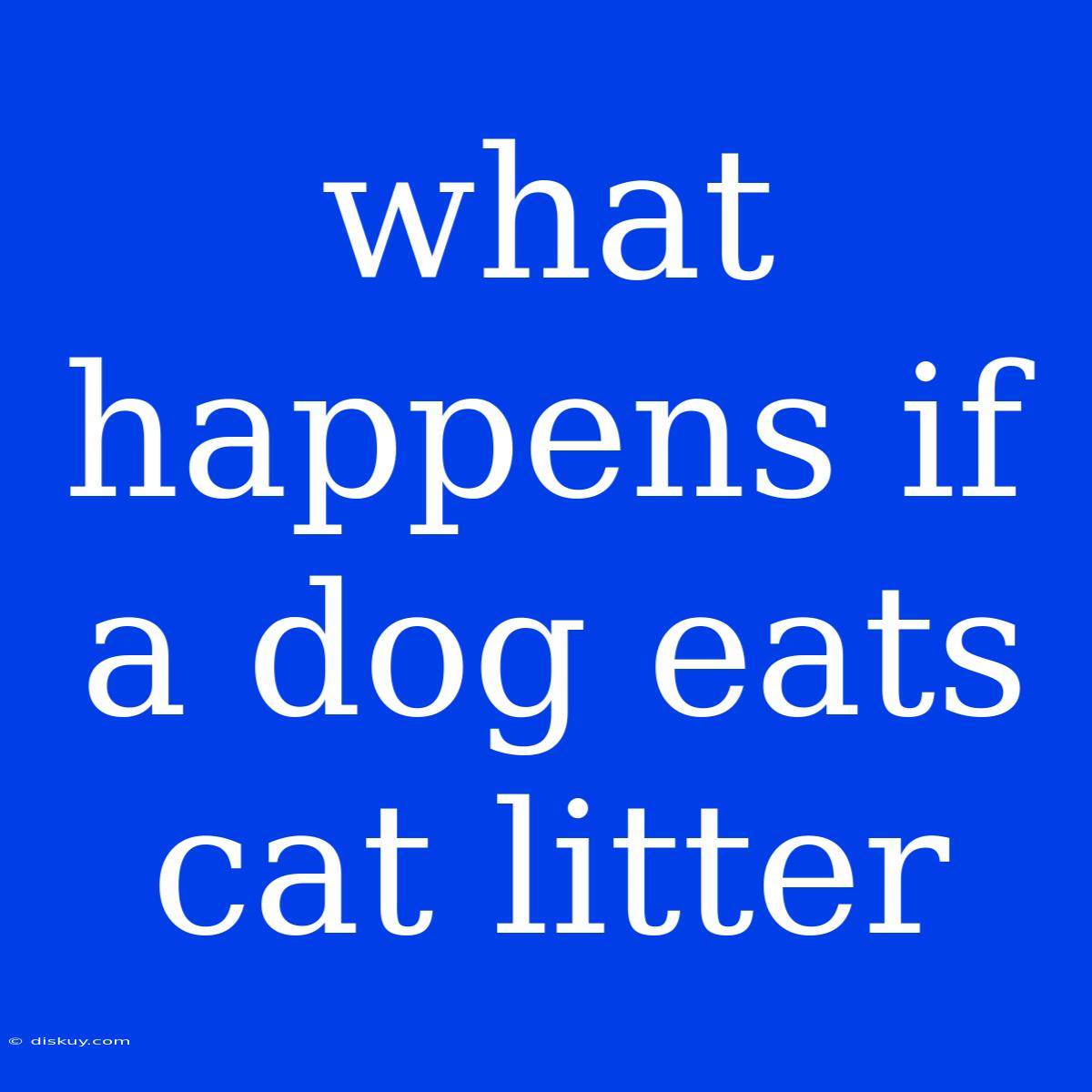 What Happens If A Dog Eats Cat Litter