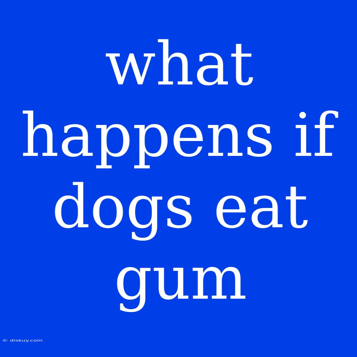 What Happens If Dogs Eat Gum