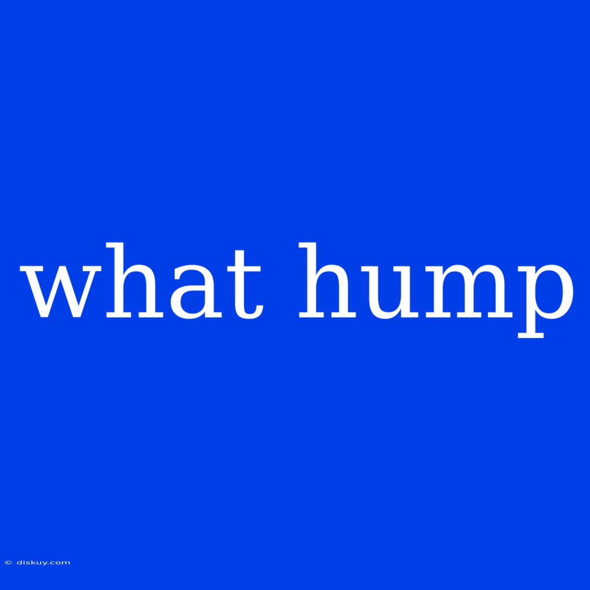 What Hump