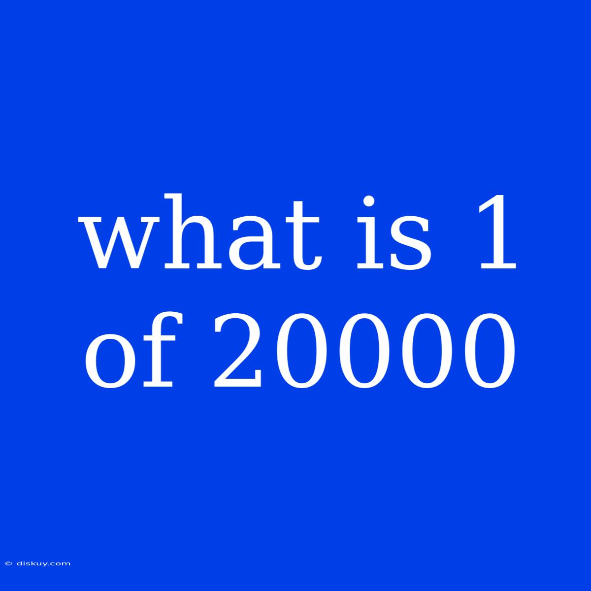 What Is 1 Of 20000