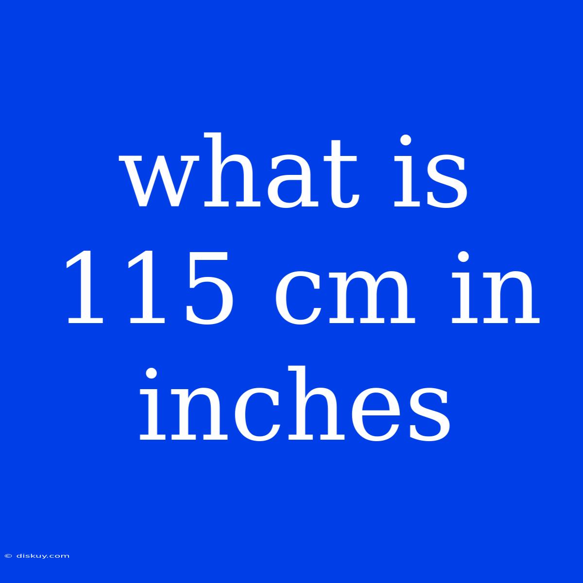 What Is 115 Cm In Inches