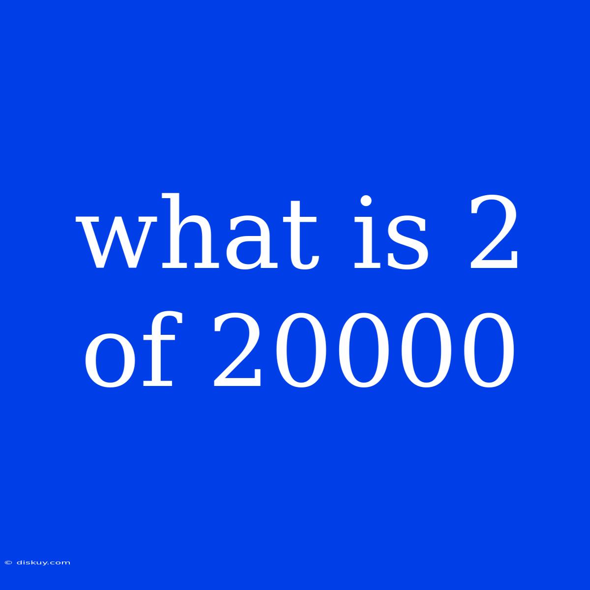 What Is 2 Of 20000